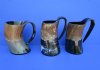 6 inches Carved and Polished Viking Horn Beer Mugs made out of real water buffalo horn - Pack of 1 @ $32.99 each