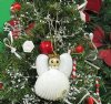 2-3/4 inches Hand Crafted White Seashell Angel Ornament with Glitter Highlights -  Pack of 10 @ <font color=red>$1.60</font> each (Plus $7.50 First Class Mail)