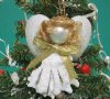 3-1/2 inches Decorative Cut Murex Shell Angel Ornaments with Blonde Hair and Gold Bow - Packed 10 @ $2.56 each 
