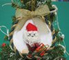 3 inches Seashell Santa on Sun Shell Beach Christmas Ornaments for Sale - Packed 10 @  $2.56 each