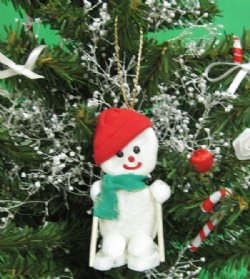 2-1/2 inches Sea Cookies Skiing Snowman Beach Christmas Ornaments for Sale -10 @ $2.02 each