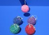2-1/2 inches Round Nassarius Shell Covered Christmas Ball Ornaments in Assorted Colors  - Pack of 5 @ $4.24 each
