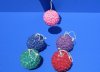 2-1/2 inches Shell Covered Christmas Ball Ornaments in Assorted Colors  - 5 @ $4.25 each