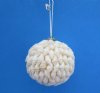 2 inches Small White Nassarius Seashell Christmas Ball Ornament for a Beach Christmas Tree - Pack of 5 @ <font color=red>$3.52</font> each