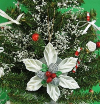 Wholesale Seashell Ornaments