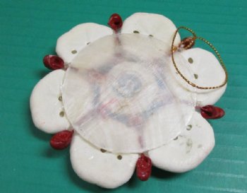 3-1/2 inches Sea Cookie Shell Wreath Christmas Tree Ornaments - 10 @ $2.25 each