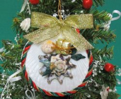 3 inches Sun Shell Beach Themed Ornaments for Sale - 10 @ $2.25 each
