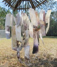 22 inches long Rustic Look Natural Saddle Oyster Shell Wind Chime - $8.99 each;