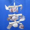 16 to 18 inches long Triangle Saddle Oyster Shell Chandeliers for Sale in Bulk - Case of 12 @ $7.50 each;  2 <font color=red> Wholesale</font> Cases of 12 @ $7.00 each; 