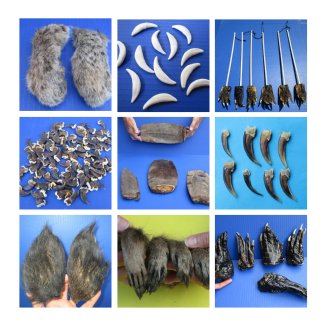 Buy Feet,Tails Shown