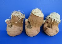 Carved Coconut Monkey Mom and Child Novelty - $9.99 each; 6 @ $5.00 each