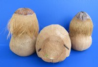 Carved Coconut Monkey with Maracas Novelty - $9.99 each; 6 @ $5.00 each