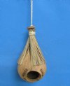 9 to 11 inches tall Hanging Tiki Hut Style Coconut Birdhouse - Pack of 1 @ $4.99 each