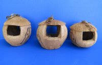 Hanging Coconut Birdhouse with 2 Carved Black Birds - 2 @ $5.00 each