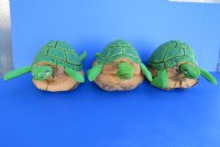 7 to 8 inches long Green Painted and Carved Coconut Turtle for Sale - Pack of 1 @ $6.99 each; Pack of 6 @ $5.20 each