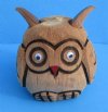 6 inches Painted and Carved Coconut Owl Bank Novelty- $4.99 each 