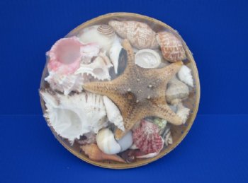 10 inches Round Basket of Seashells with Jungle Starfish - 2 @ $9.00 each;  7 @ $8.50 each