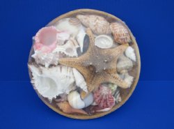 10 inches Round Basket of Seashells with Jungle Starfish - 2 @ $9.00 each;  7 @ $8.50 each