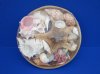 10 inches Round Basket of Assorted Seashells and topped with a Natural Jungle Starfish -Pack of 2 @ $6.00 each; Pack of 7 @ $4.80 each