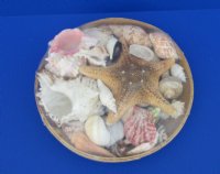 10 inches Round Basket of Seashells with Jungle Starfish - 2 @ $9.00 each;  7 @ $8.50 each