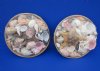 10 inches Round Basket of Shells filled with Assorted Seashells for Party Favors in Bulk  - Case of 15 @ $4.16 each; <font color=red> Wholesale</font> 3 or more cases @ $2.60 each