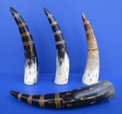 Decorative Horn Decor