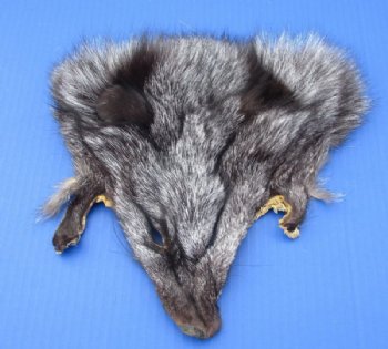 Assorted Tanned Fox Face Pelts, Skins Fur for Sale 7x7 to 9x9 - 2 @ $7.50 each