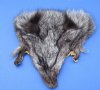 <font color=red> Wholesale</font> Assorted Tanned Fox Face Pelts, Skins, Fur, Hides for Sale  7 by 7 and 9 by 9 inches - Case of 20 @ $4.50 each