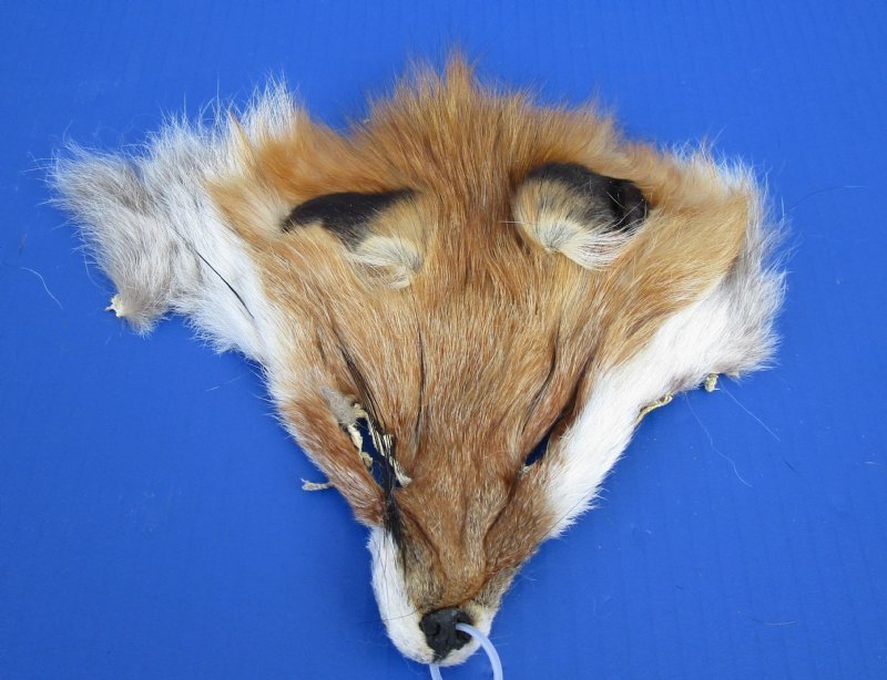  Red Fox Fur Pelt/Tanned Skins