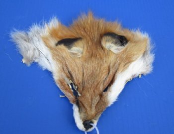 6-1/2 to 8-1/2 inches long Tanned Red Fox Face Pelts - <font color=red>2 @ $7.99 each</font> (Plus $7 Ground Advantage Shipping) 