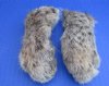 <font color=red>Wholesale</font> Dried Bobcat Feet for Sale, Preserved/ Cured with Borax,  2-1/2 to 5 inches - Pack of 20 @ $5.15 each
