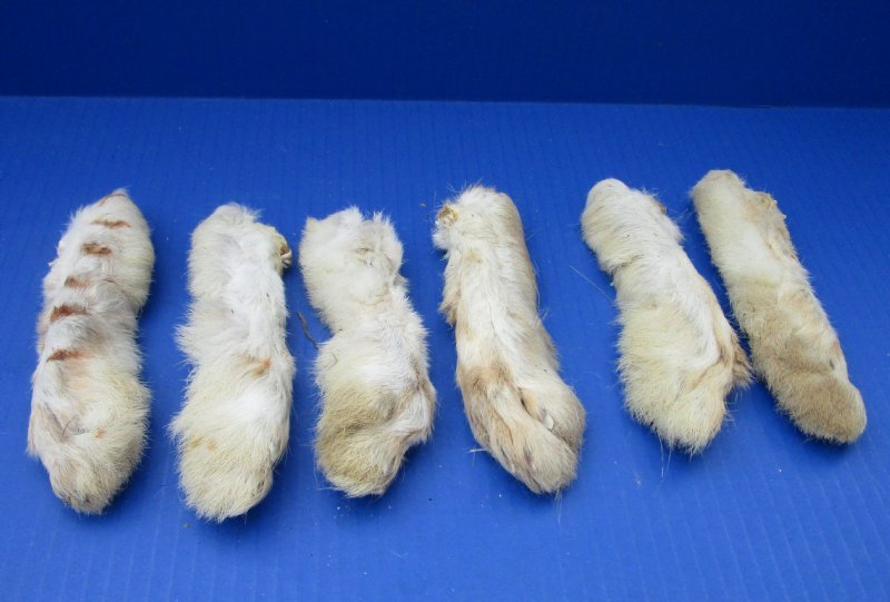 6 inches Preserved Back Rabbit Feet, Rabbit's Foot in Bulk for Crafts