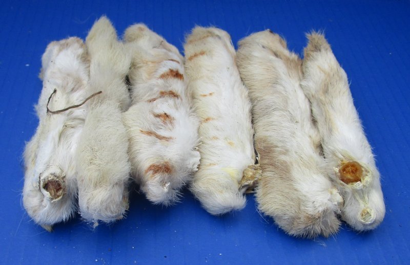 6 inches Preserved Back Rabbit Feet, Rabbit's Foot in Bulk for Crafts