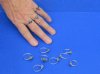 Authentic Fossil Shark Tooth Rings with Silver Colored Wire - Pack of 20 Assorted Sizes @ <font color=red> $1.44 each</font> (Plus $8.25 First Class Mail)