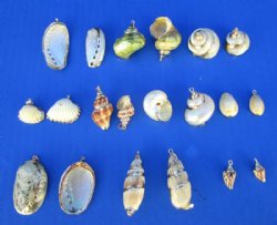 <font color=red> Wholesale</font> Electroplated Yellow Gold Trimmed Assorted Seashell Pedants for Sale in Bulk - Case of 500 @ .58 each