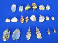 <font color=red> Wholesale</font> Electroplated Yellow Gold Trimmed Assorted Seashell Pedants for Sale in Bulk - Case of 500 @ .58 each