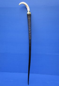 30 to 35 inches tall Authentic Polished Gemsbok Horn Walking Cane, Stick with a Warthog Tusk Handle <font color=red> Wholesale</font> for $120.00 each