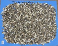 1/2 to 1-1/2 inches Bulk Indian Tiny and Small Mixed Seashells - 10 Gallons @ $9.00 a gallon; 20 <font color=red> Wholesale Bags</font> @ $7.90 a gallon