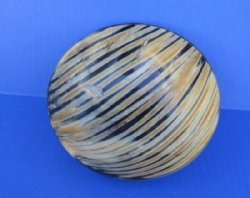 6 inches Striped Round Horn Bowl - $14.99 each