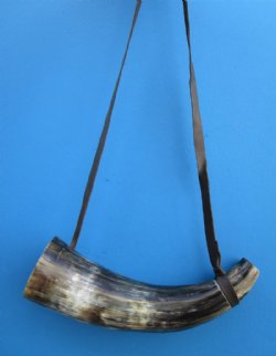 14 to 16 inches Buffalo Blowing Horn with Leather Strap, Viking War Horn - $21.99 each