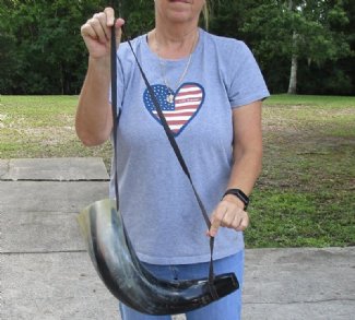 Blowing and Powder Horns
