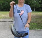 Blowing and Powder Horns