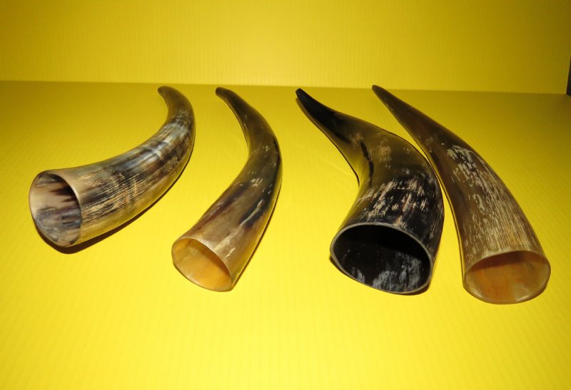 Buy 9 to 12 inches Buffed Water Buffalo Horns with a Rustic Look