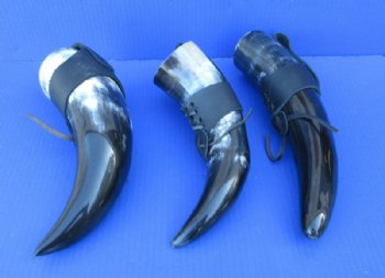  Hanging Viking Drinking Horn with Leather Horn Holster 12 to 14 inches - $16.60 each