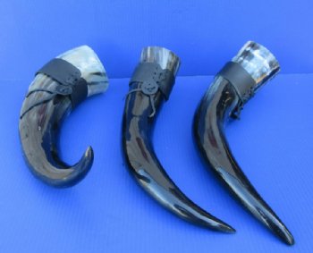 Hanging Drinking Horn with Leather Horn Holster made out of cow horn 20 to 24 inches - $28.99 each; 2 @ $27.60 each