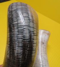 Carved Cow Horns with a Fish Scales/Snake Skin Pattern 12 to 14-7/8 inches - $12.80 each