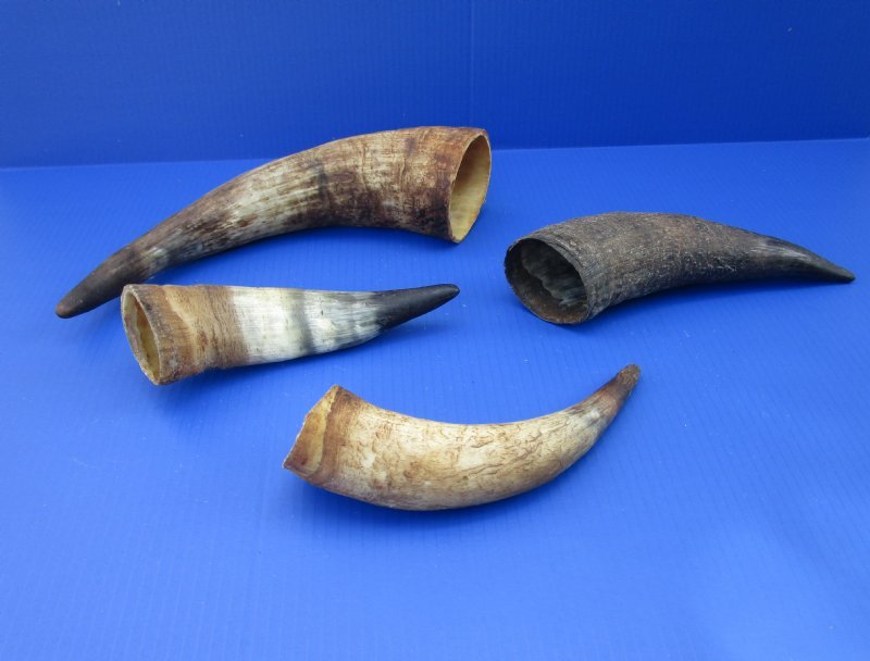 golf cart cow horns golf cart cow horns