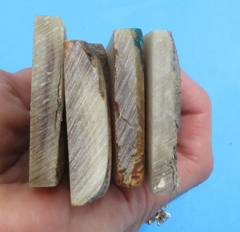 7 x 11/4 Wholesale Sheep Horn Scales, Horn Knife Scales for Sale