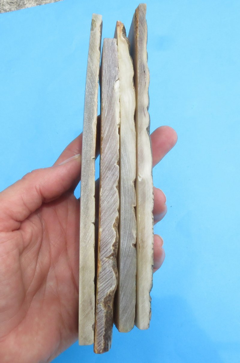 7 x 11/4 Wholesale Sheep Horn Scales, Horn Knife Scales for Sale