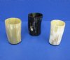 4 inches tall <font color=red> Wholesale</font> Buffalo Horn Cups, Horn Drinking Glasses in Bulk - Case of 14 @ $6.50 each; Case of 20 @ $5.75 each